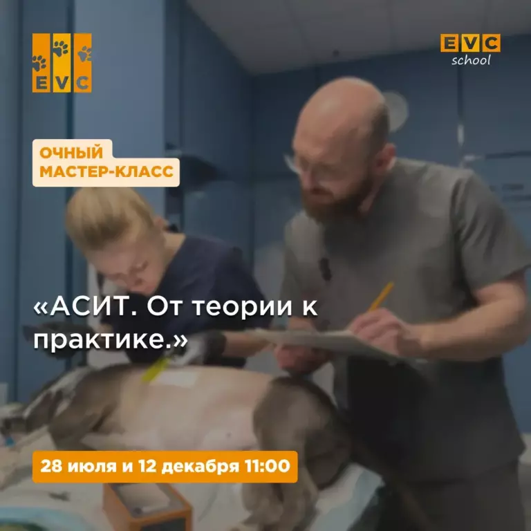 «АСИТ. От теории к практике.»