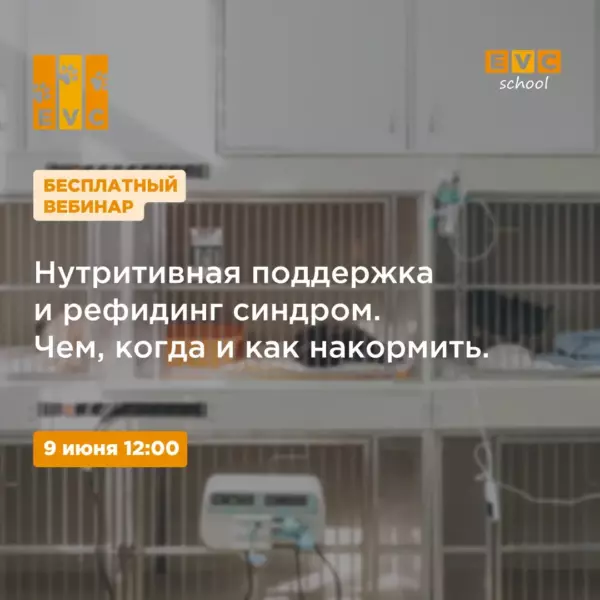 Нутритивная поддержка и рефидинг синдром. Чем, когда и как накормить.