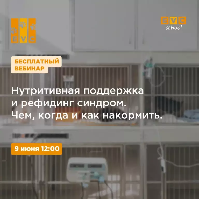 Нутритивная поддержка и рефидинг синдром. Чем, когда и как накормить.