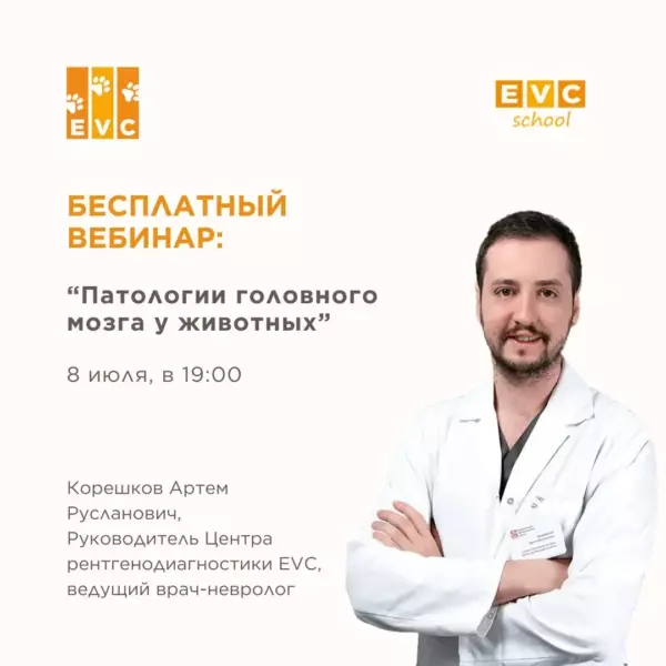 Патологии головного мозга