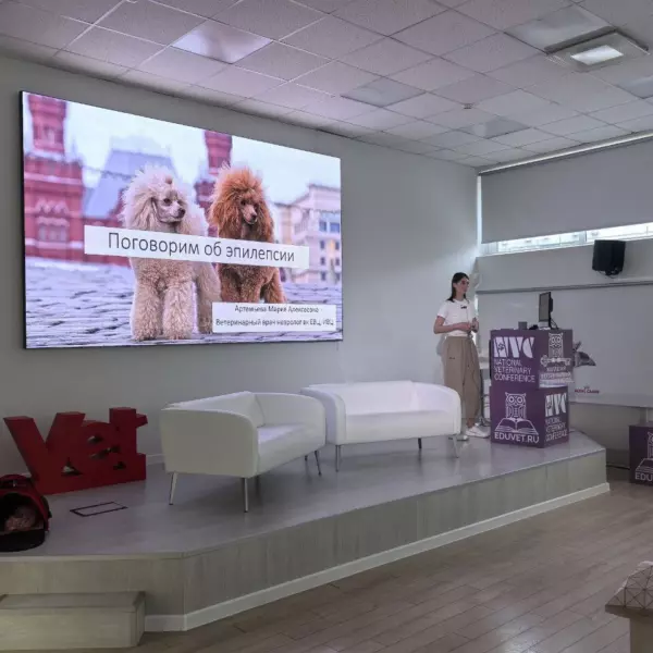 Ветеринарный врач EVC выступила на конференции «День породы Пудель»