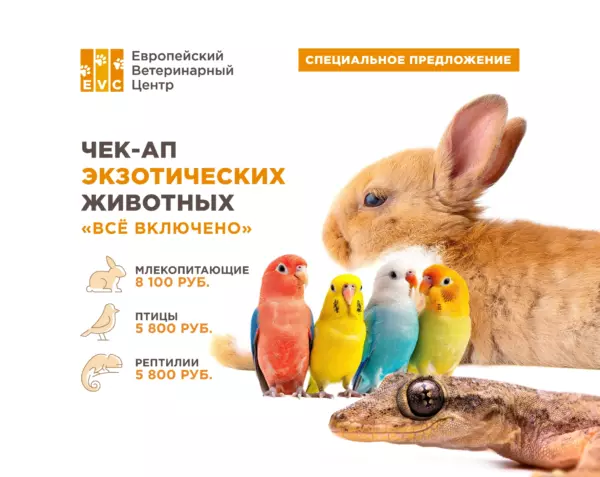 Чек-ап экзотических животных «Все включено»