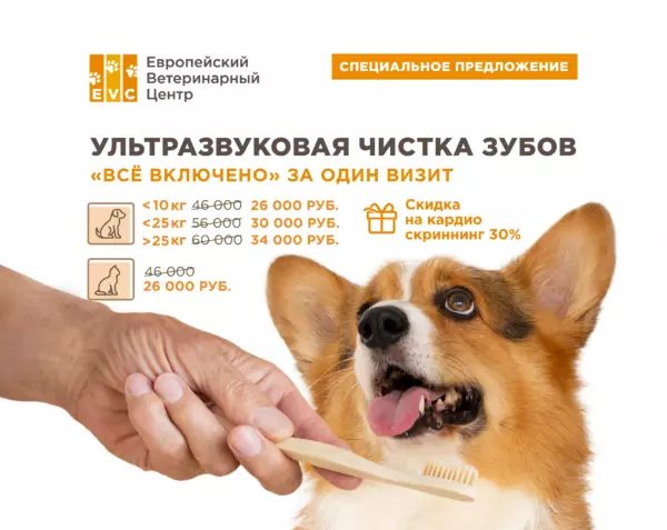 Ультразвуковая чистка зубов «Все включено» + кардиоскриннинг со скидкой 30%