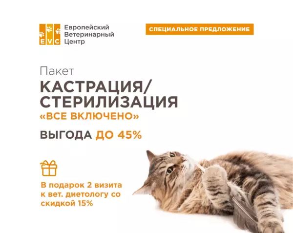 Кастрация / Стерилизация «Все включено» со скидкой до 45%