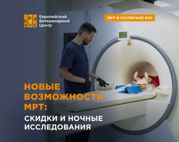 Новые возможности МРТ: скидки и ночные исследования