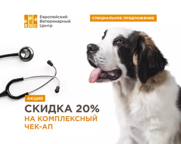 Сезонный чек-ап
