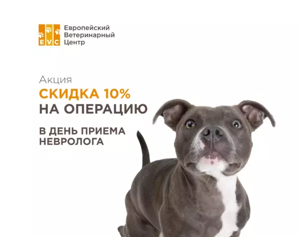 Скидка 10% на операцию в день приема невролога