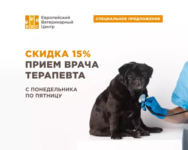 Скидка 50% на профилактический осмотр терапевта