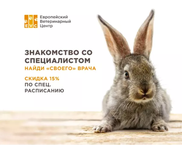 Запишись на знакомство: Знакомство с врачом-специалистом -15%