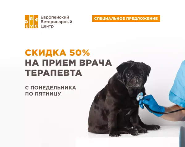 Скидка 50% на профилактический осмотр терапевта