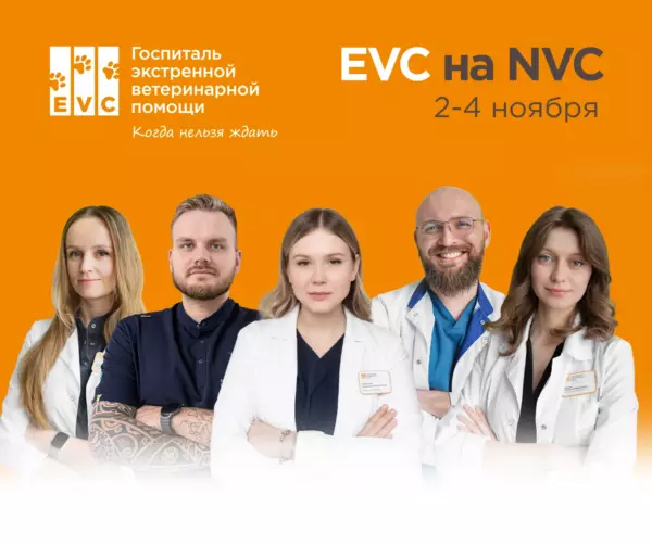 Врачи EVC выступят с докладами на Национальной ветеринарной конференции NVC 2026